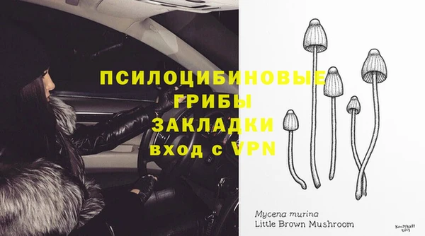 шишки Богданович