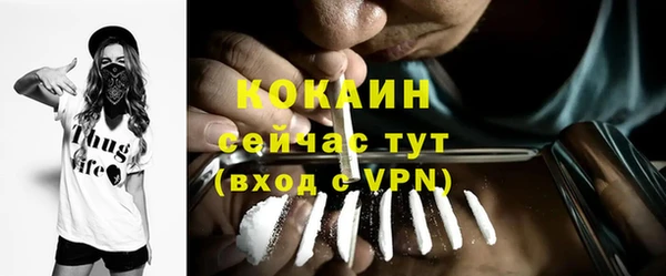 мескалин Богородицк