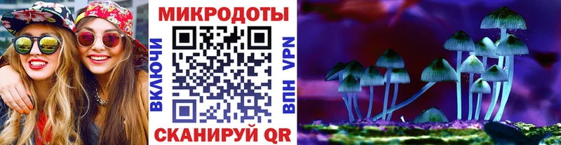 сайты даркнета официальный сайт  Верхотурье  Псилоцибиновые грибы Psilocybe 